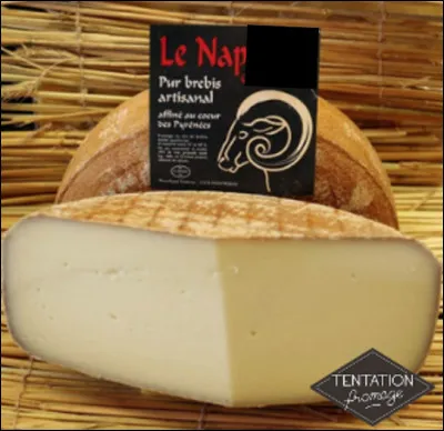 Quel est ce fromage artisanal en N, un produit des Pyrénées à base de lait entier de brebis affiné pendant 10 mois ?