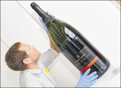 Quel est le nom de ce flacon en N qui contient 20 bouteilles de champagne ?