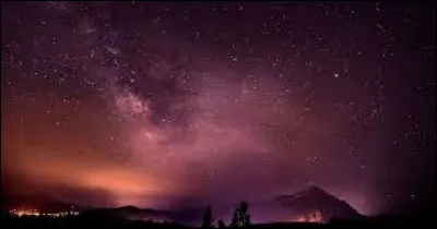 Quel jour est née Stella Ambler ?