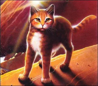 Quel nom choisis-tu ? (2/2)