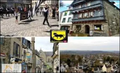 Je vous propose de partir en Bretagne à la découverte de Carhaix-Plouguer. Ville de l'arrondissement de Châteaulin, connue entre autres pour son festival des Vieilles Charrues, elle se situe dans le département ...