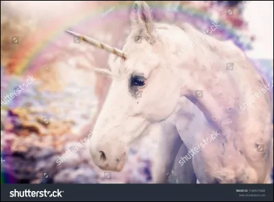 Des licornes se promènent dans la parc, que dis-tu ?