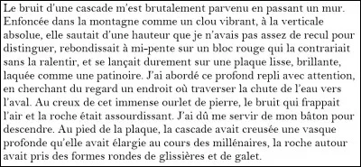 Lisez ce texte.