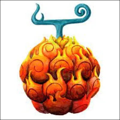 Quel type de fruit du démon préfères-tu ?