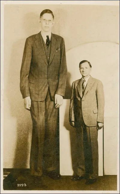 Quelle taille as-tu ?