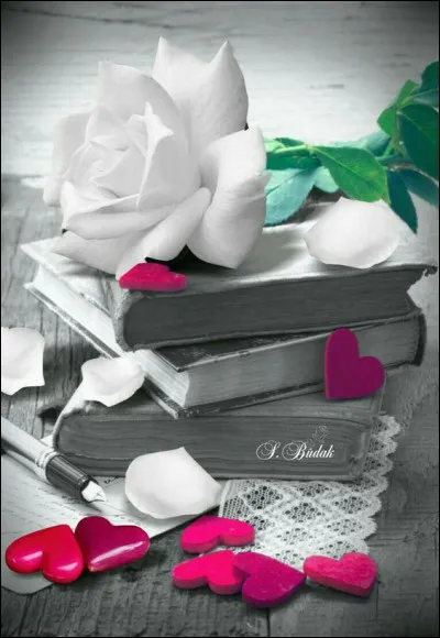 Le prénom en titre du livre de George Sand, était :