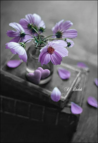 Donnez-moi le titre du livre de Jean Giono :