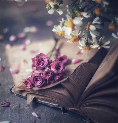 Roman de Stephen King, il s'agit de :