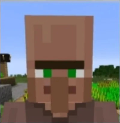 Avant, existait-il un villageois qui ne pouvait pas apprendre de métier ?