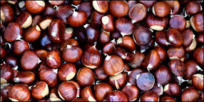 Comment dit-on la couleur "marron" en anglais ?