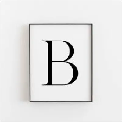 De quel instrument de musique joue un bassiste ?