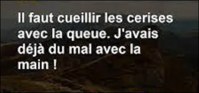 Citation : 
Qui a dit : ''Il faut cueillir les cerises avec la queue. J'avais déjà du mal avec la main ! '' ?