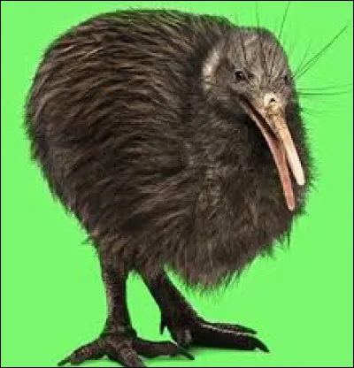 Cet animal existe-t-il ?