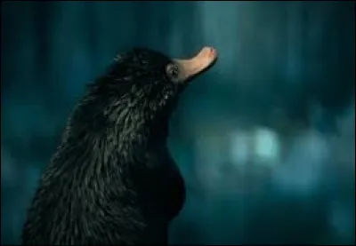 Cet animal existe-t-il ?