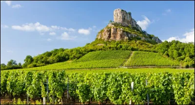 Sous quel nom est aussi connu le légume ancien, belle-dame ?