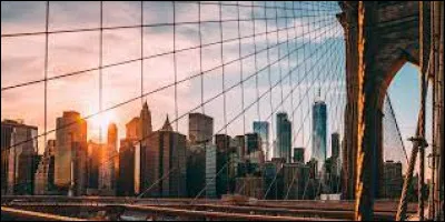 Art : Quel artiste a chanté "New York, New York" ?