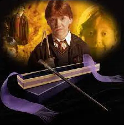 Maintenant, sa baguette, quelle est sa composition ?