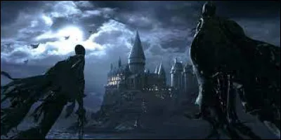 Lorsque que Dudley a été attaqué par les Détraqueurs, qu'a-t-il vu ?