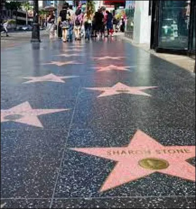 Lieu d'exception : Laquelle de ces personnalités n'a pas son étoile sur la Walk of Fame ?