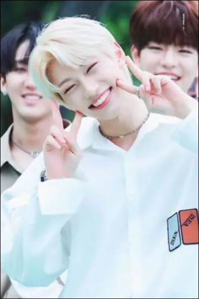 Les gens disent de toi que tu es :