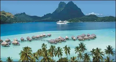 Dans quelles îles pourtant paradisiaques vit le "Laticauda colubrina", le serpent aquatique le plus venimeux du monde ?