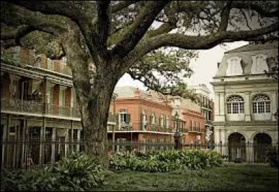 Culture : Quel culte hérité des Caraïbes est encore très présent à la Nouvelle-Orléans ?