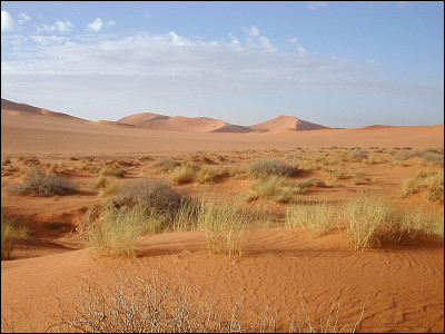 Sur quel continent se trouve le Sahara, le plus grand désert du monde ?