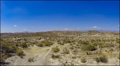Dans quel désert d'Espagne était tournée la plupart des westerns spaghettis, censés se dérouler en Amérique ?