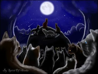 Qui lui donne sa quatri&egrave;me vie ?