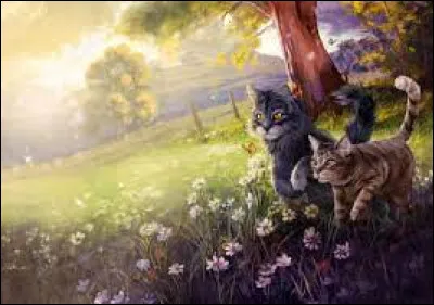 Dans quel roman la perd-il ?