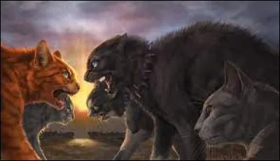 Gr&acirc;ce &agrave; cette vie, il a re&ccedil;u...