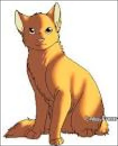 Dans quel roman &Eacute;toile de Feu perd-il sa premi&egrave;re vie ?