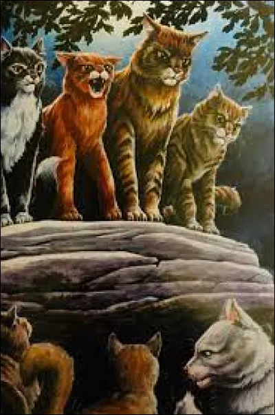 Qui lui donne sa troisi&egrave;me vie ?