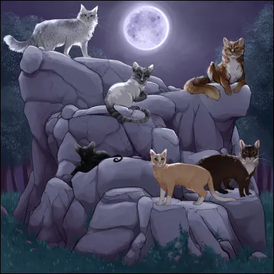 Que lui donne Rivi&egrave;re d'Argent en m&ecirc;me temps ?