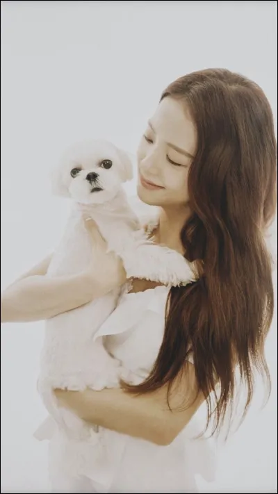 Quel est le nom de son chien ?