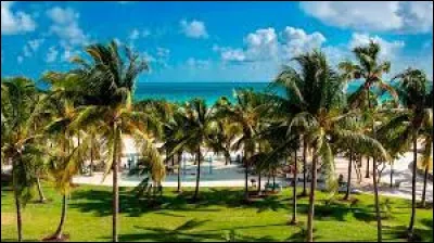 Art : Lequel de ces films a pour cadre Miami ?