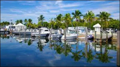 Art : Quel rappeur chante la chanson "Miami" en 1997 ?