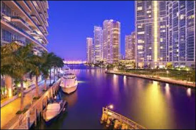 Sport : Quels animaux sont associés à l'équipe de football américain de Miami ?