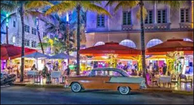 Culture : Quel fleur est mise à l'honneur à Miami grâce à un festival international qui a lieu chaque année ?