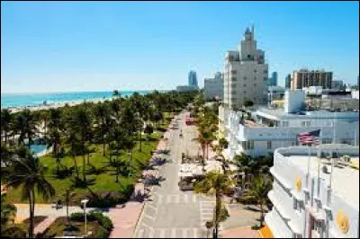 Ville : Comment s'appelle cette avenue très célèbre de Miami ?