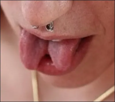 En quelle(s) langue(s) chante "Cats on Trees" ?