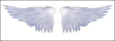 As-tu des ailes ?