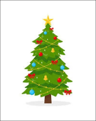 Que dit un sapin lorsquil arrive en retard le soir de Noël ?