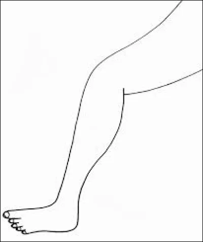 Quest-ce qui a 34 jambes, 9 têtes et 2 bras ?