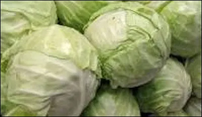 Complétez : "faire ses choux..."