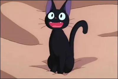 Quel est le nom de ce petit chat ?