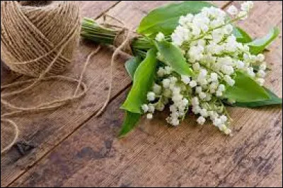 On peut utiliser du muguet dans une recette de gâteau.