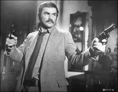 Quel acteur tient le rôle principal dans le film "Le Fauve", sorti en 1973 ?