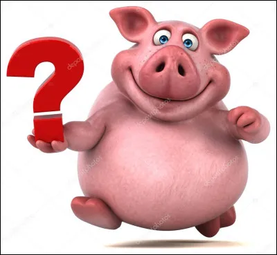 Si je vous dis "Cochon !", vous pensez :