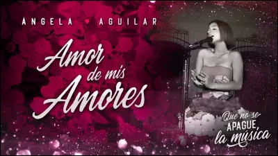 "Amor de mis amores" est une chanson de...